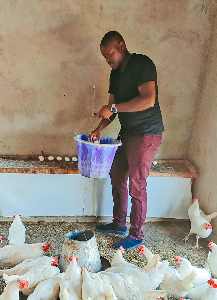 Collecte d’œufs à la Ferme Avicole Baniamba à Dio Gare